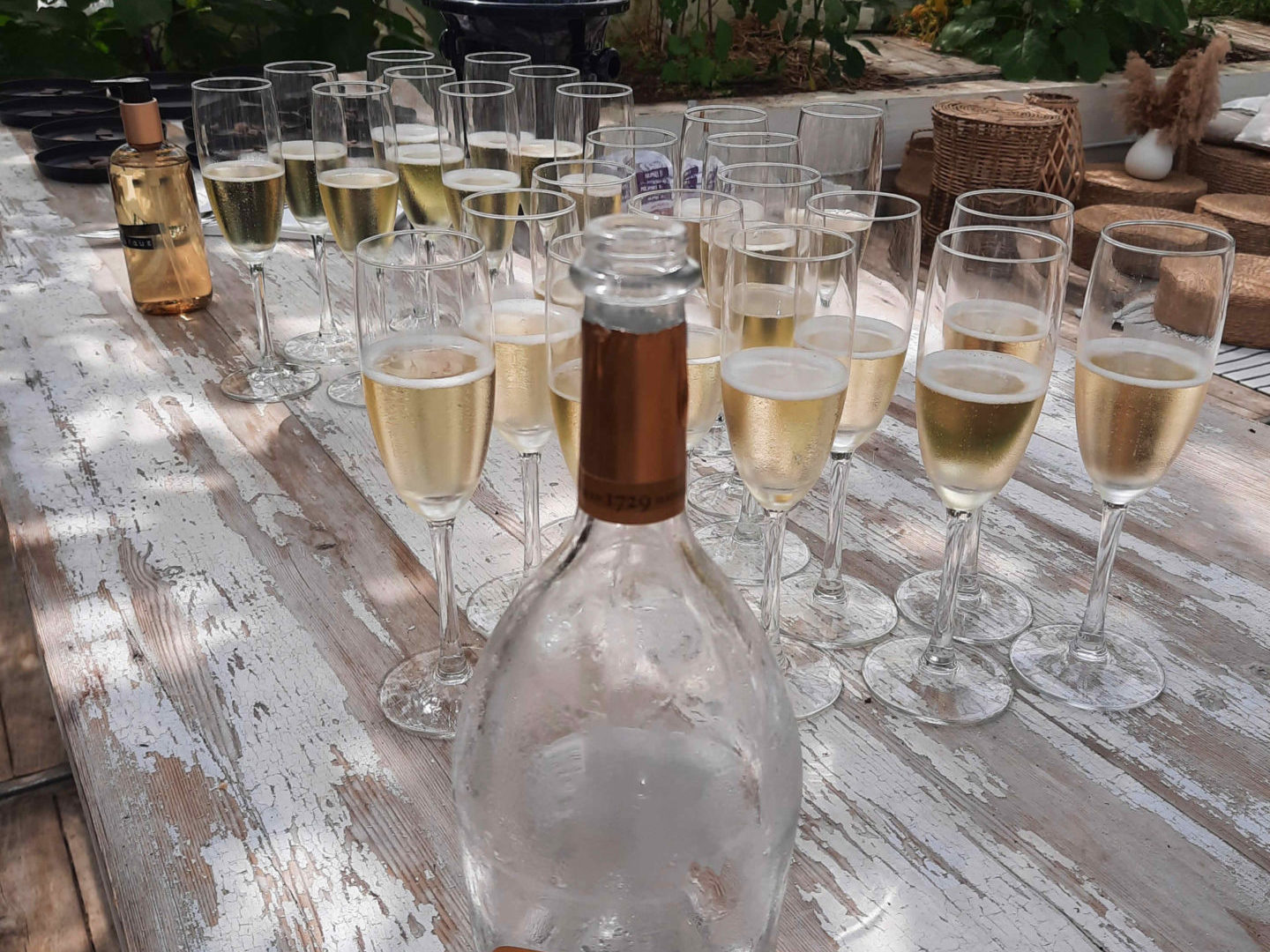 Bouteille de champagne vide et verres pleins lors d'une dégustation sous serre