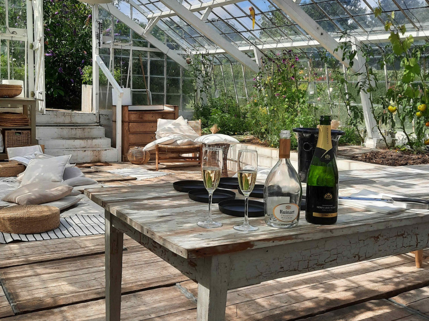 Bouteille de champagne vide et verres pleins lors d'une dégustation sous serre