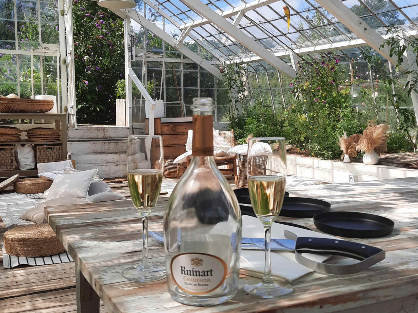 Bouteille de champagne vide et verres pleins lors d'une dégustation sous serre