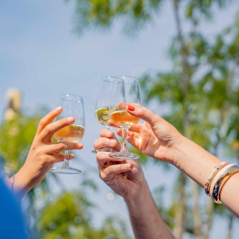 Trois bras levés pour faire santé avec un verre de bin blanc