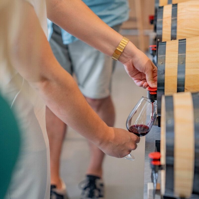 Personne se servant un verre de vin rouge à un tonneau de vin