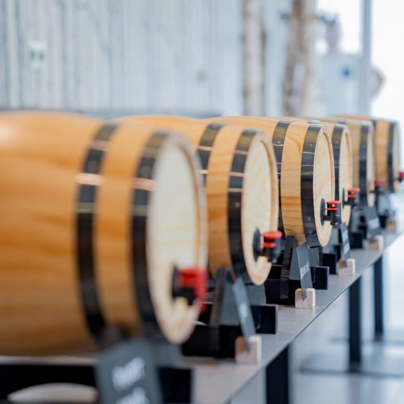 Tonneaux de vin lors d'une activité dégustation de vin avec Ready Steady