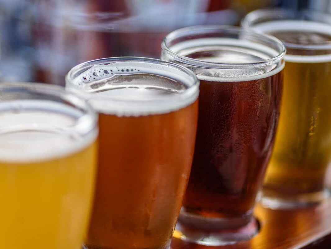 4 verres de bière lors d'un atelier de dégustation zythologique