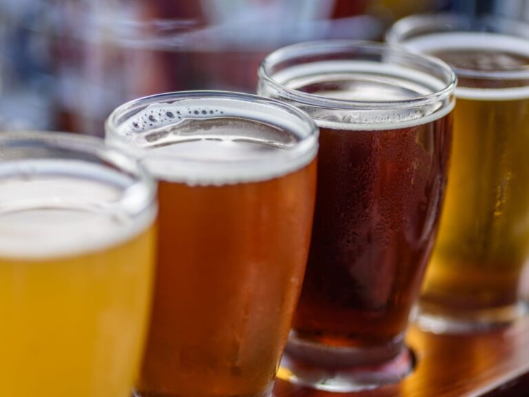 zythologie 4 verres de bière lors d'un atelier de dégustation zythologique